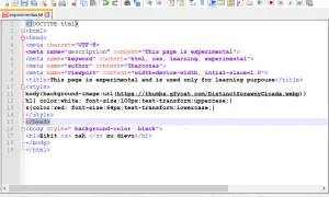 Jak zrobić stronę internetową HTML w Notepad++ bez zbędnych trudności