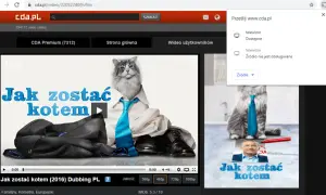 Jak oglądać CDA bez aplikacji i cieszyć się filmami online bez przeszkód