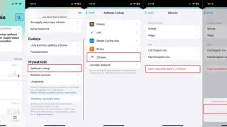 Jak usuwać aplikacje z iPhone: przejdź do Ustawień > Prywatność > Aplikacje i usługi > Zdrowie, a następnie usuń dane.