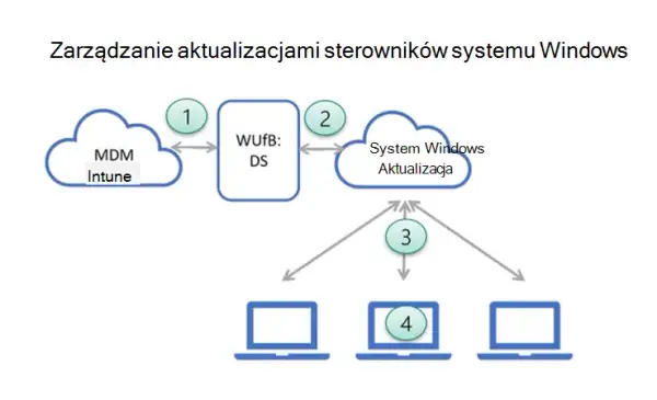Jak zaktualizować Windows i uniknąć problemów z aktualizacjami